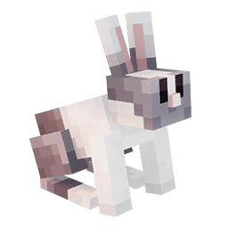 vested rabbit