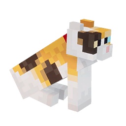 calico cat