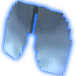 elytra