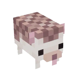 hedgehog