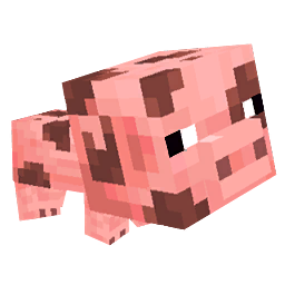 spotted baby pig