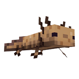 wild axolotl