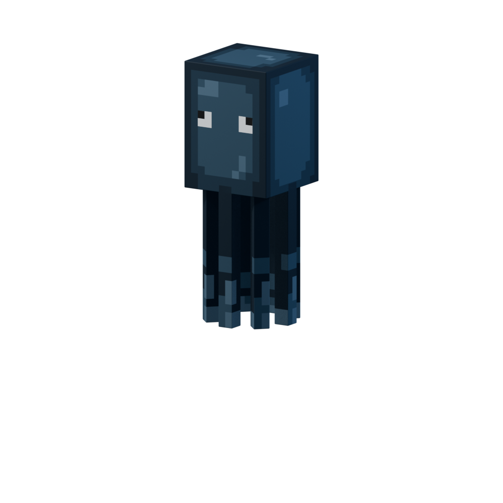 Squid