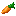 Carrot