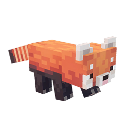 red panda