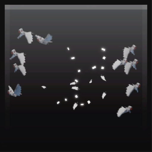 release the doves
