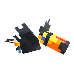 toucan